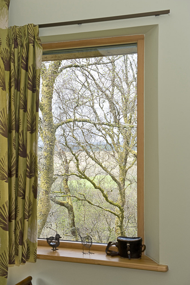 View out of a window onto birch woodland, Sithean - environmentally sensitively constructed,  high quality Self-catering holiday accommodation. Glen Lonan, Taynuilt, near Oban, Argyll, Scottish highlands, Scotland 

C180507NF5D0011-10S0
